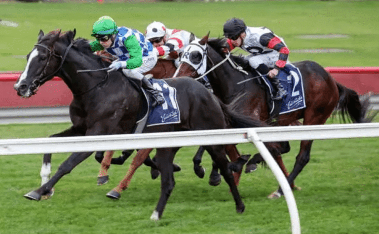 Horse Racing: The Best Tips for Attending a Race