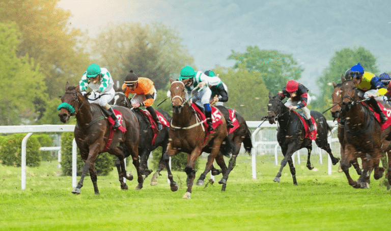 Horse Racing: The Best Venues for Watching Live Races