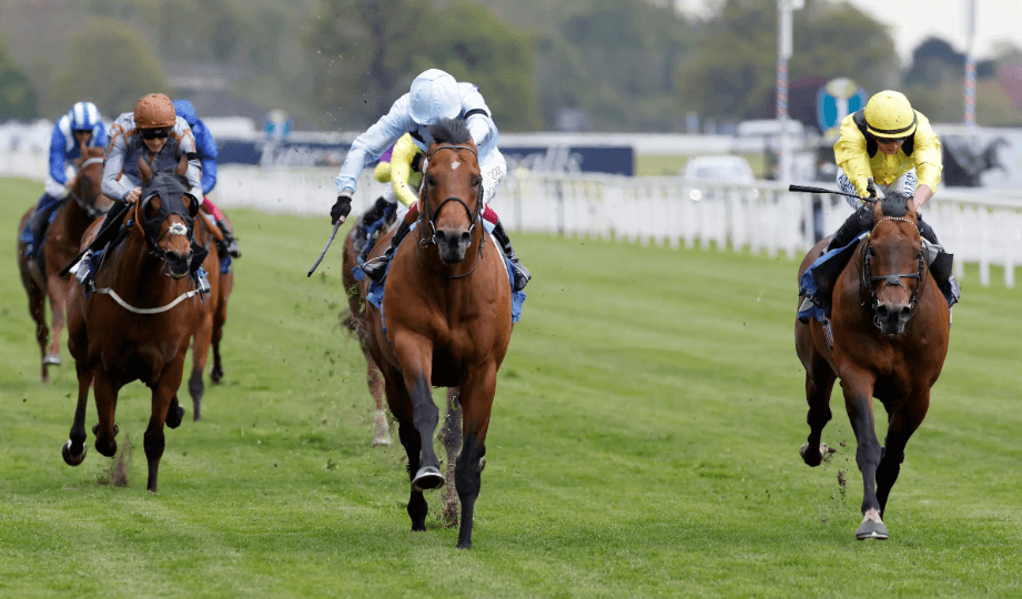 Horse Racing: The Connection Between Jockeys and Horses