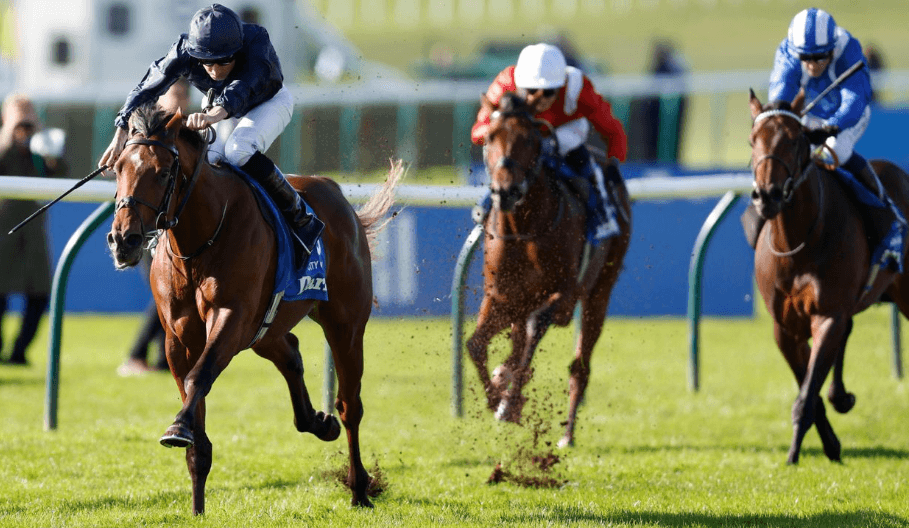 Horse Racing: The Impact of Horse Care and Nutrition