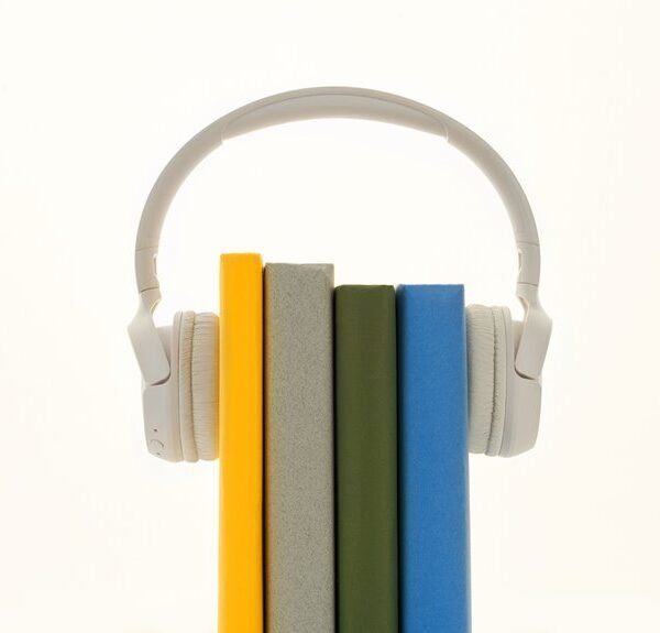 Most Expensive Audible Books