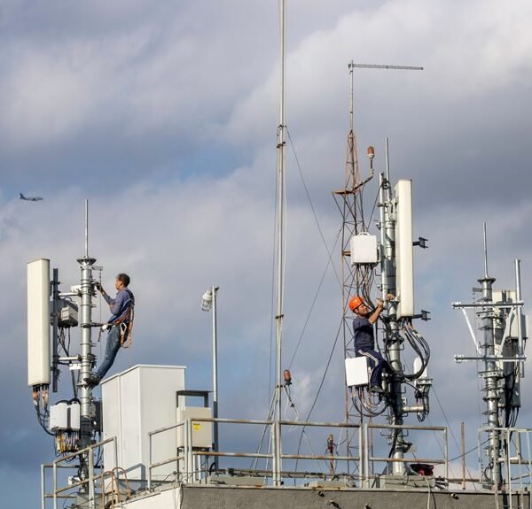 telecom signal optimization report ids